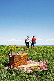 Couple enjoying a picnic in a field